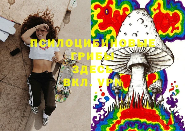 PSILOCYBIN Абинск