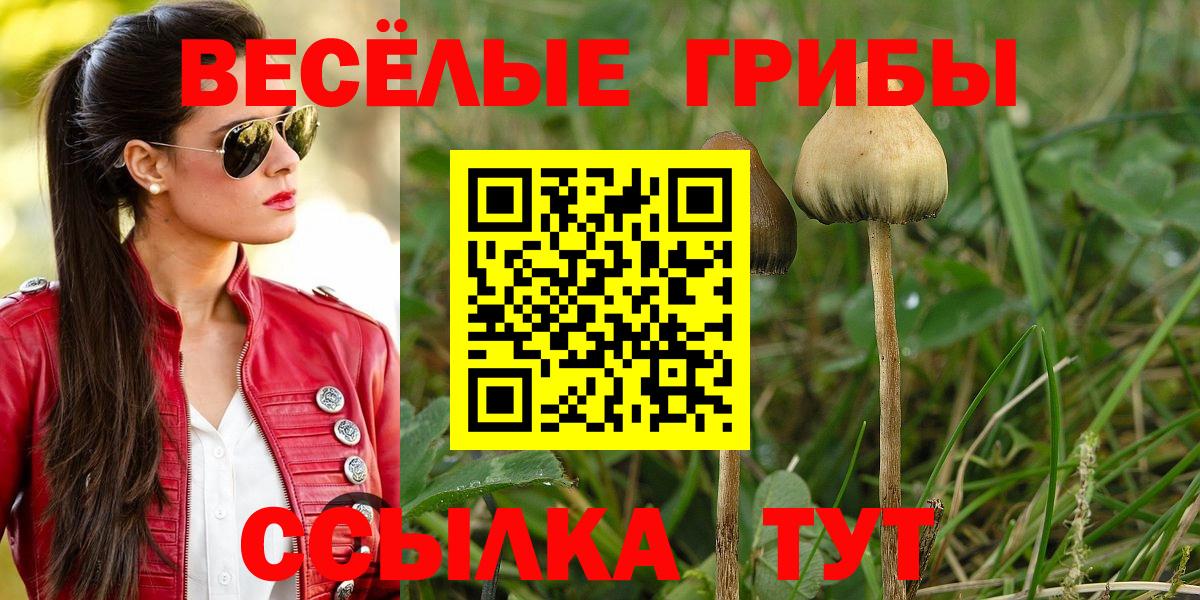 Псилоцибиновые грибы Cubensis  Вход с VPN  Ирбит 