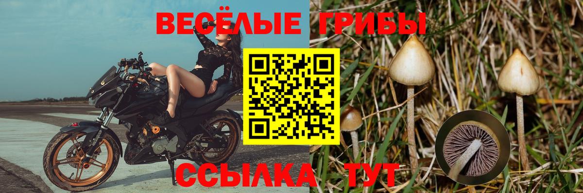 Псилоцибиновые грибы мухоморы Ирбит